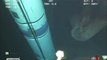 Extraño bicho en las profundidades del mar - Alien OVNI UFO