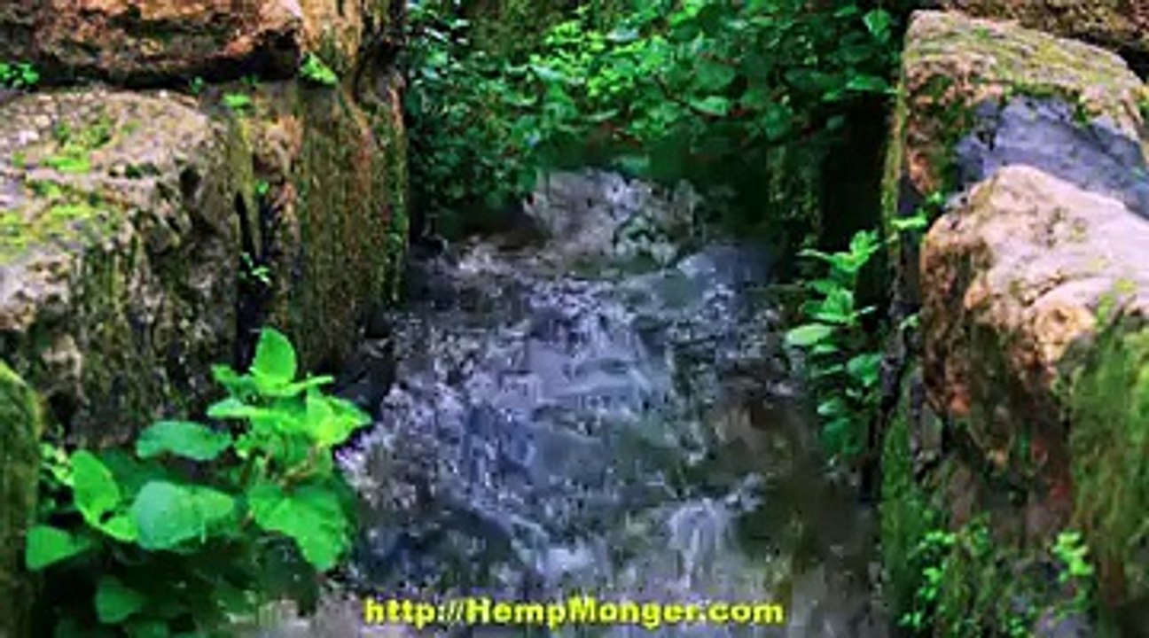 Hempmonger Is Solely Hemp | Largest Variety Of Hemp Products