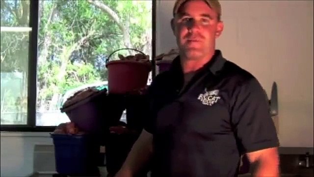 Feeding 23 TIGERS, LIONS & LIGER!