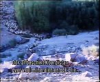 Medelanders Nederlanders - Ka Kurdistana min (1986)