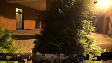 Mutant Giant Spider Dog (SA Wardega)