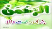 Surah Al Rehman Best Voice Qari Hani Ar Rifai