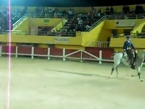 crin blanc cheval de camargue