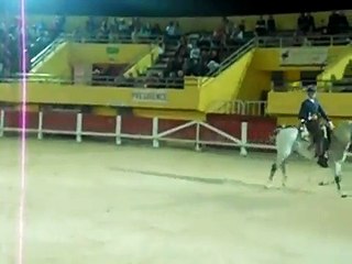 crin blanc cheval de camargue