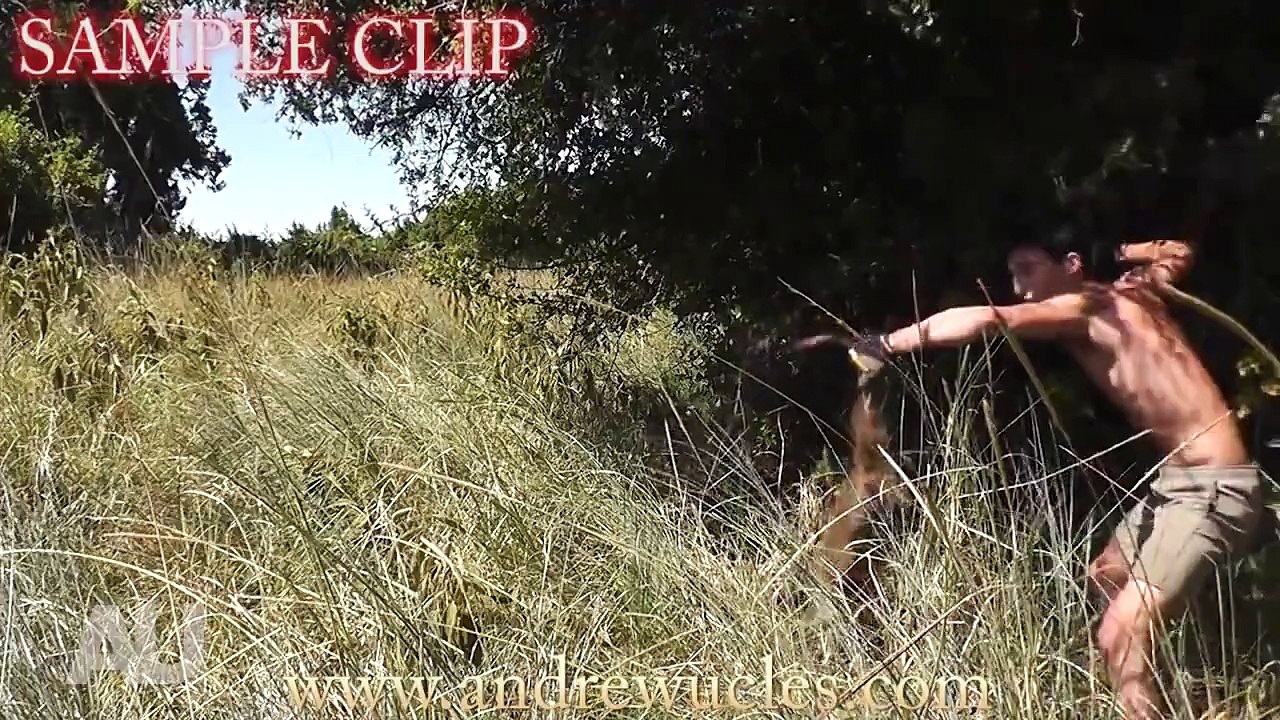 Best of Andrew Ucles