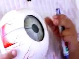 Experiment Biology : Examining the Functions of the Iris | biology for kids |biology research topics