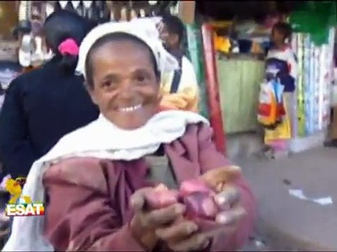 ESAT : News analysis 05 august 2011 about ethiopian busines comunity.