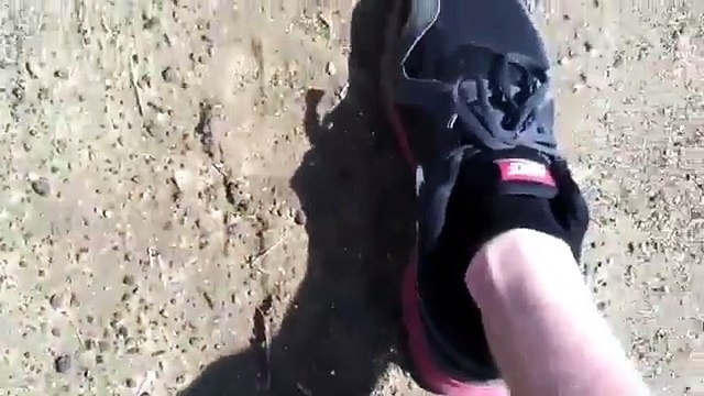 Bigfoot evidence over 400 tracks found 2014