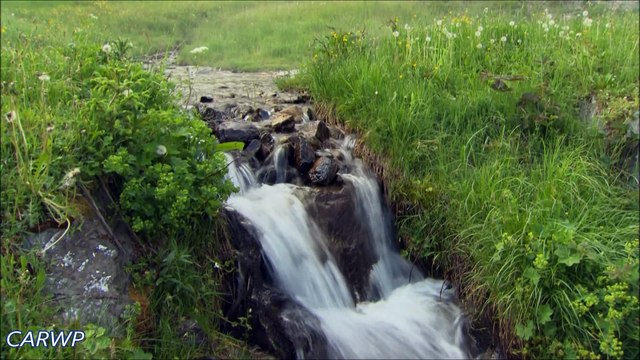 CAVANSITE BLUE Mercedes-Benz GLE 250 d 2016 4Matic AT9 2.1 Turbo Diesel 204 cv 49 mkgf @ 60 FPS