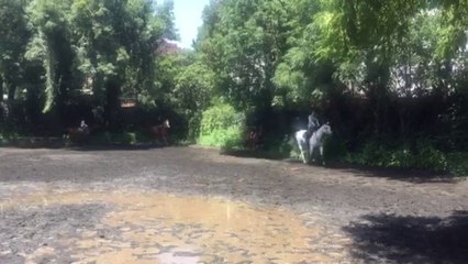 Alumnos en Clase de Equitación Club Hípico Tepepan