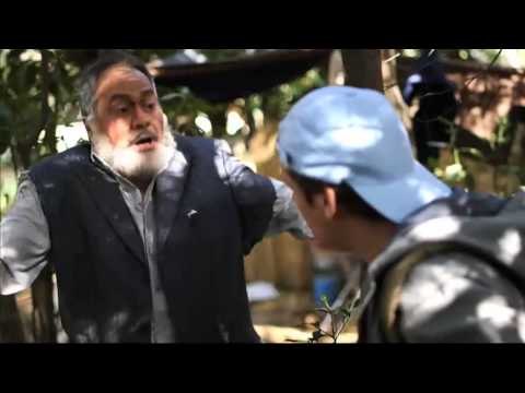 TV3 - Crackòvia - Crackòvia Especial Revetlla