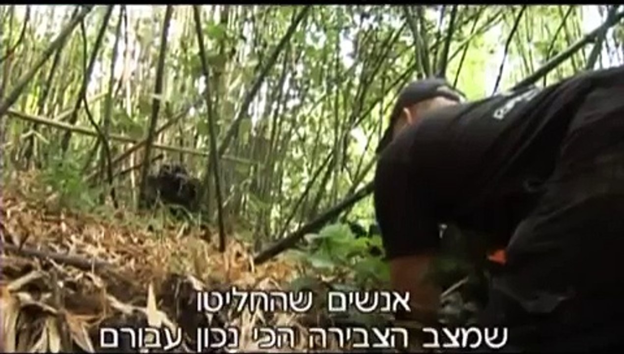 צילום פראי-פרומו