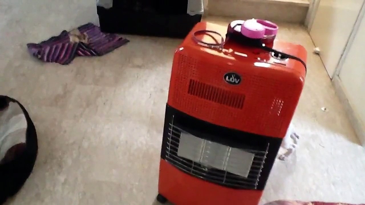 French bulldog REALLY FUNNY 101