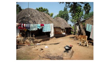 The Heroes We Need: Father Damien