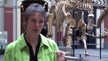 Interview zur Biologischen Vielfalt und World Wide Views on Biodiversity mit Dr. Katrin Vohland