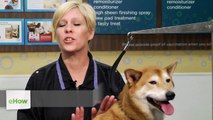 A Handy Recipe for De-Skunking Your Dog : Dog Grooming Tips