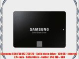 Samsung 850 EVO MZ-75E120 - Solid state drive - 120 GB - internal - 2.5-inch - SATA 6Gb/s -