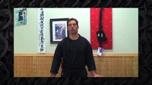Ninjutsu Defense Against Multiple Attackers - Bujinkan Training