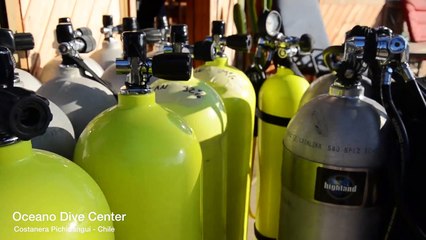 Buceo en Chile - Oceano Dive Center