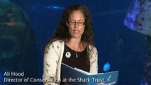Minister Dives into Shark Conservation