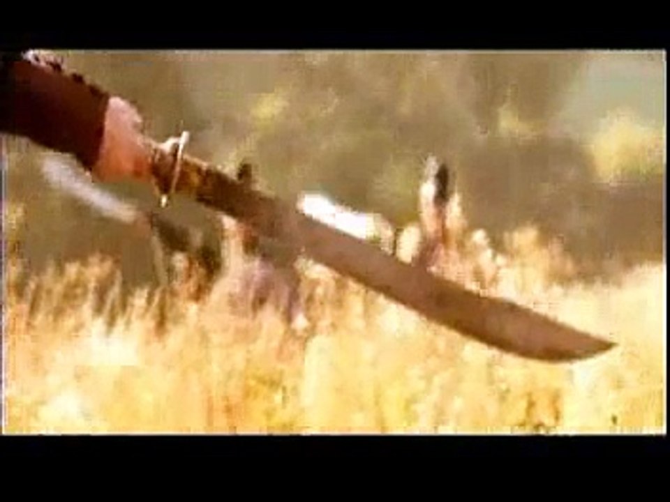 kung fu fighting music video house of flying daggers remix