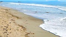 The Sandpiper, Zuma Beach, Southern CA