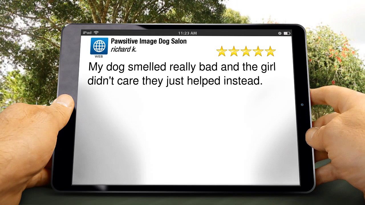 Pawsitive Image Dog Salon  Excellent 5 Star Review by richard k.
