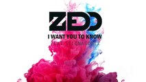 Zedd ft. Selena Gomez- I Want You To Know (Max Schwartz Remix)