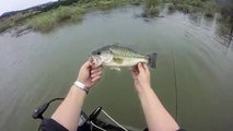 Spring bass fishing in Southern Oregon