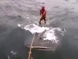 hombres surfean sobre un tiburón ballena