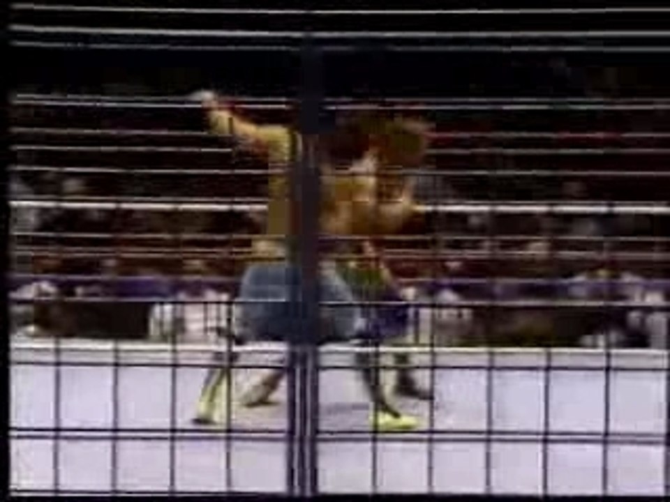 WWF Roddy Piper vs Rick Rude - video Dailymotion