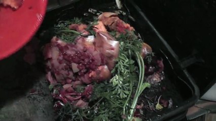 Продолжаем обслуживание вермикомпостера Worm Cafe