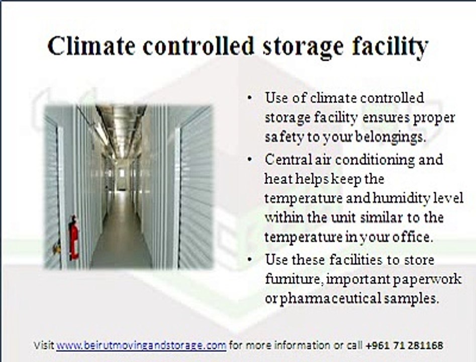 5 Beirut Business Warehouse Storage Facility Tips