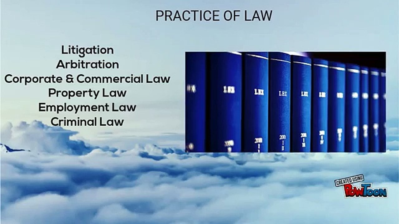 Professional-services-and-legal-advices-of-the-hig