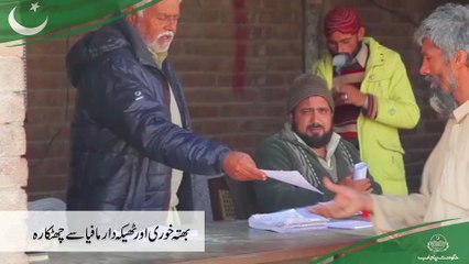 Cattle Market Management Firms