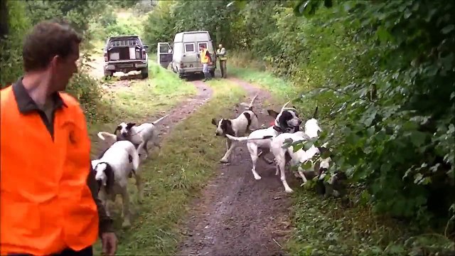 Rapprocher Gascon Saintongeois chasse aux sangliers