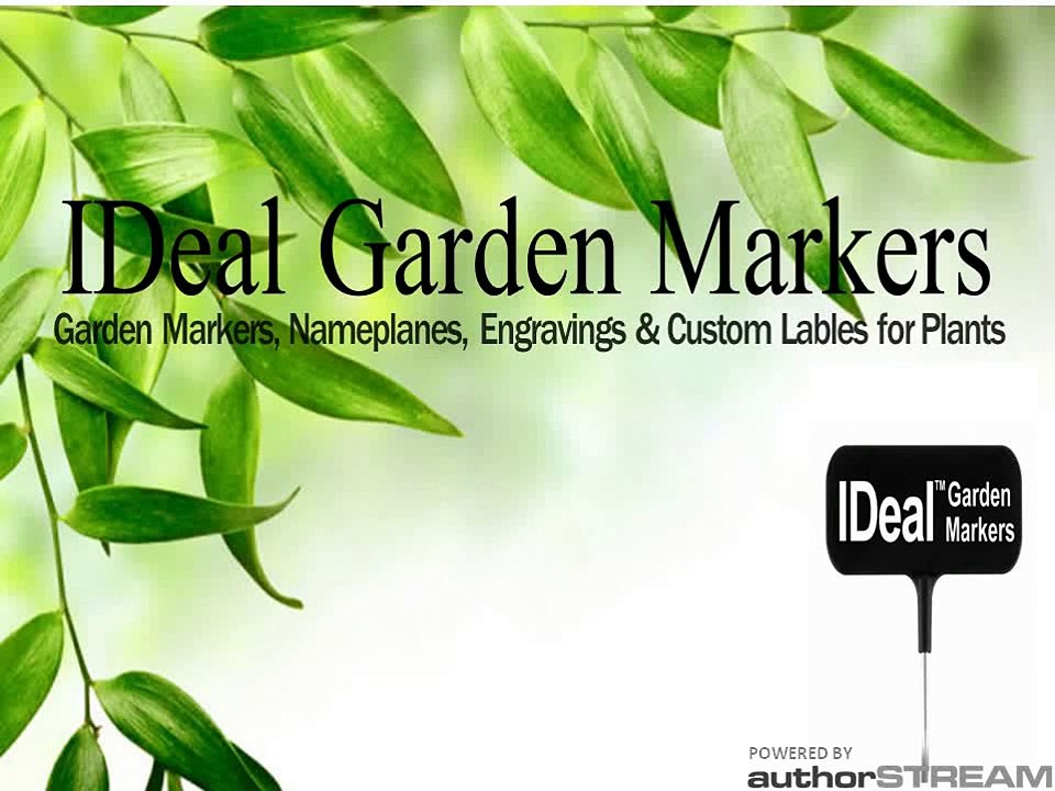 Buy Garden Markers and Engravings for plants (1)