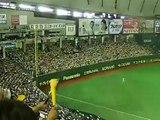 Tokyo Dome - Tokyo, Japan Yomiuri Giants vs. Hanshin Tigers 2011 - Japanese baseball