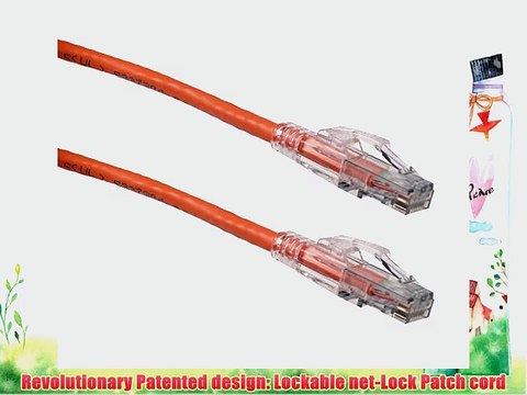 NTW 50 Ft. Lockable CAT6 Patented net-Lock RJ45 Ethernet Network Patch Cable (UTP) Snagless
