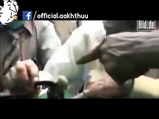 Strange Creature found