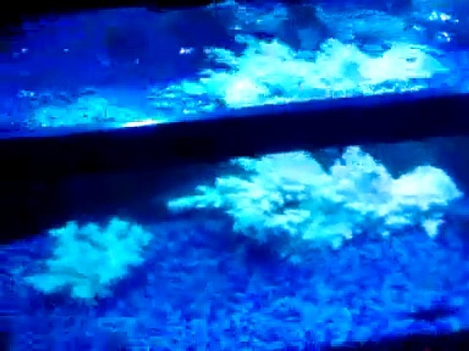 36" Metal Halide T5 HO Aquarium Reef 656W (TEST)