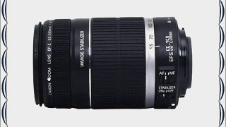 Canon EF-S 55-250mm f/4-5.6 IS Lens for Digital S