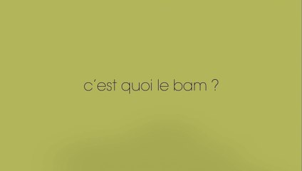 Bam System au Pavillon de l'Arsenal