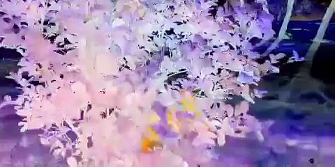 Horror video clip 18+ only watch  by (Hasnain Ali)