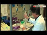 TG 08.04.15 No colesterolo, no cancro: la scoperta dei ricercatori dell'Università di Bari