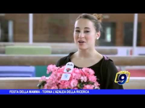FESTA DELLA MAMMA | Torna l'azalea della ricerca