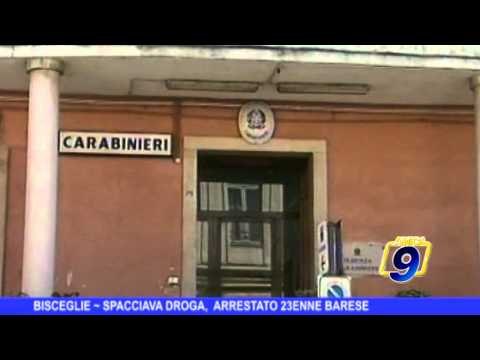 BISCEGLIE | Spacciava droga, arrestato 23enne barese