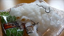 [ Japanese cuisine ] Eating  Sarashi KujiraWhitened whale blubber  さらし鯨