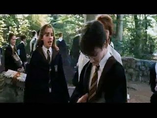 Everything's Gonna Be Alright