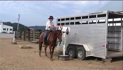 -SOLD -Banjo - 2004 gelding-14.1 hands - Quiet - Gentle - Family Horse